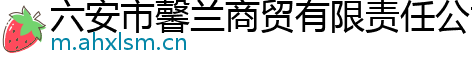 六安市馨兰商贸有限责任公司